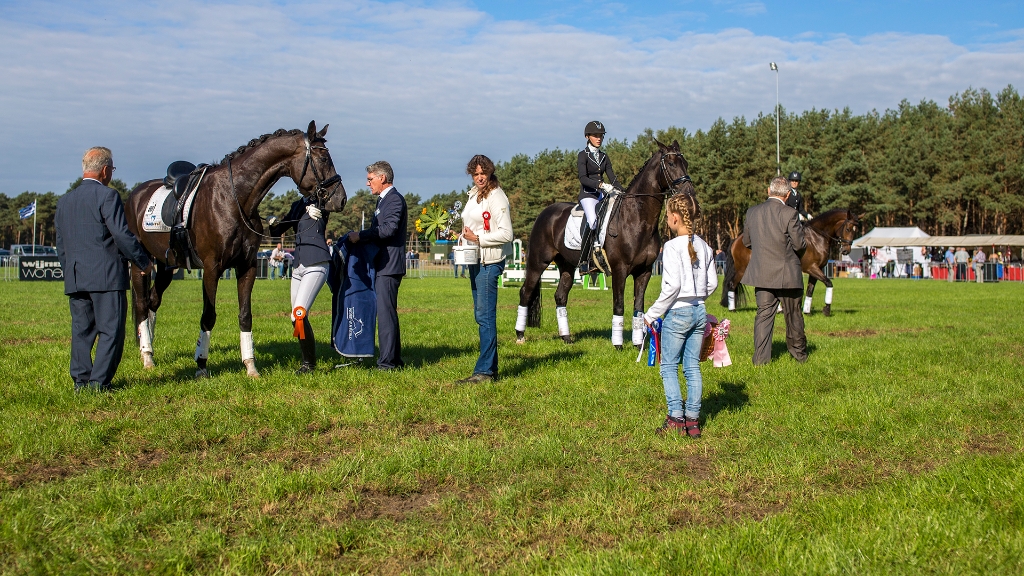 Lierop Fokpaardendag 2016 (20).jpg - Lierop Fokpaardendag 2016